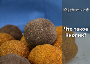 ЧТО ТАКОЕ КНОЛИК